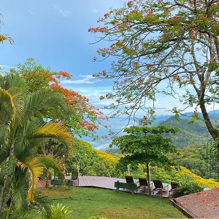 Pacific Edge Eco Lodge ドミニカル エクステリア 写真