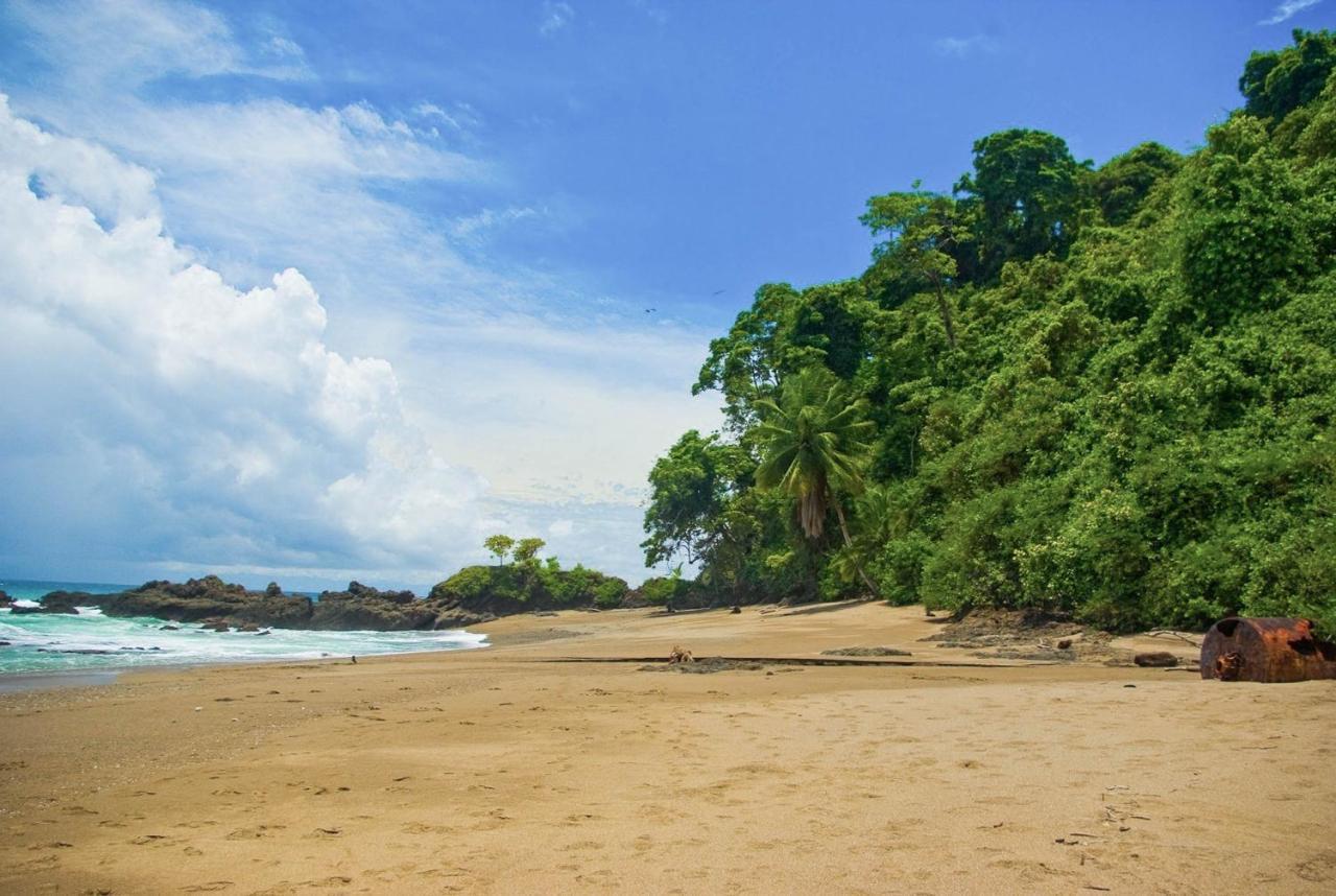 Pacific Edge Eco Lodge ドミニカル エクステリア 写真