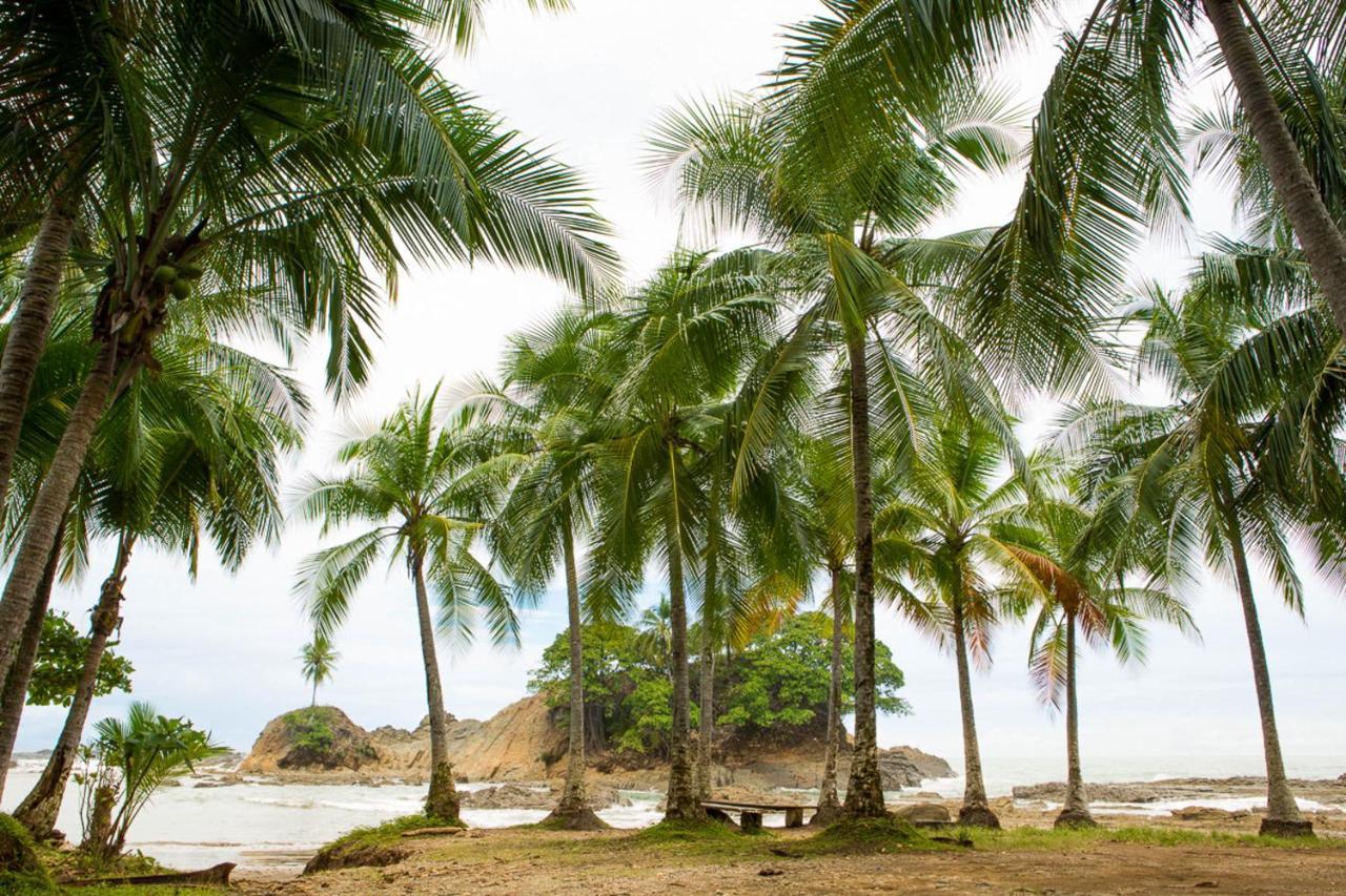 Pacific Edge Eco Lodge ドミニカル エクステリア 写真