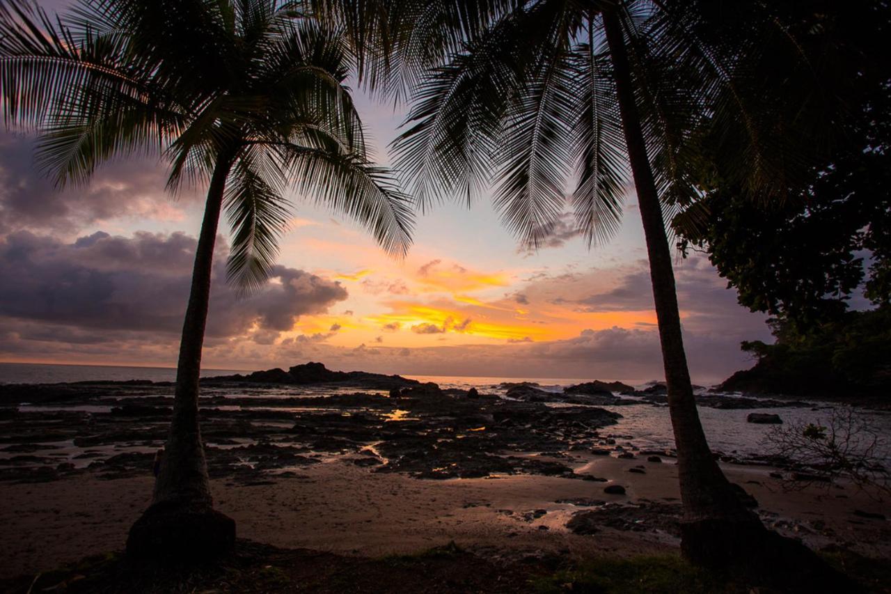 Pacific Edge Eco Lodge ドミニカル エクステリア 写真