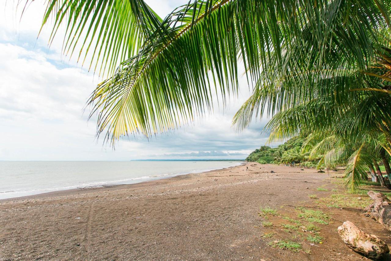 Pacific Edge Eco Lodge ドミニカル エクステリア 写真