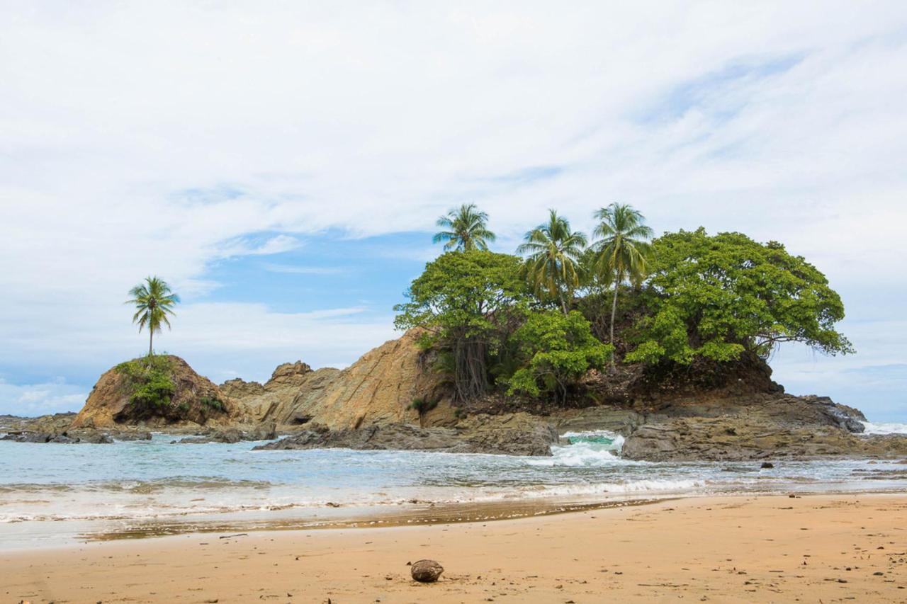 Pacific Edge Eco Lodge ドミニカル エクステリア 写真