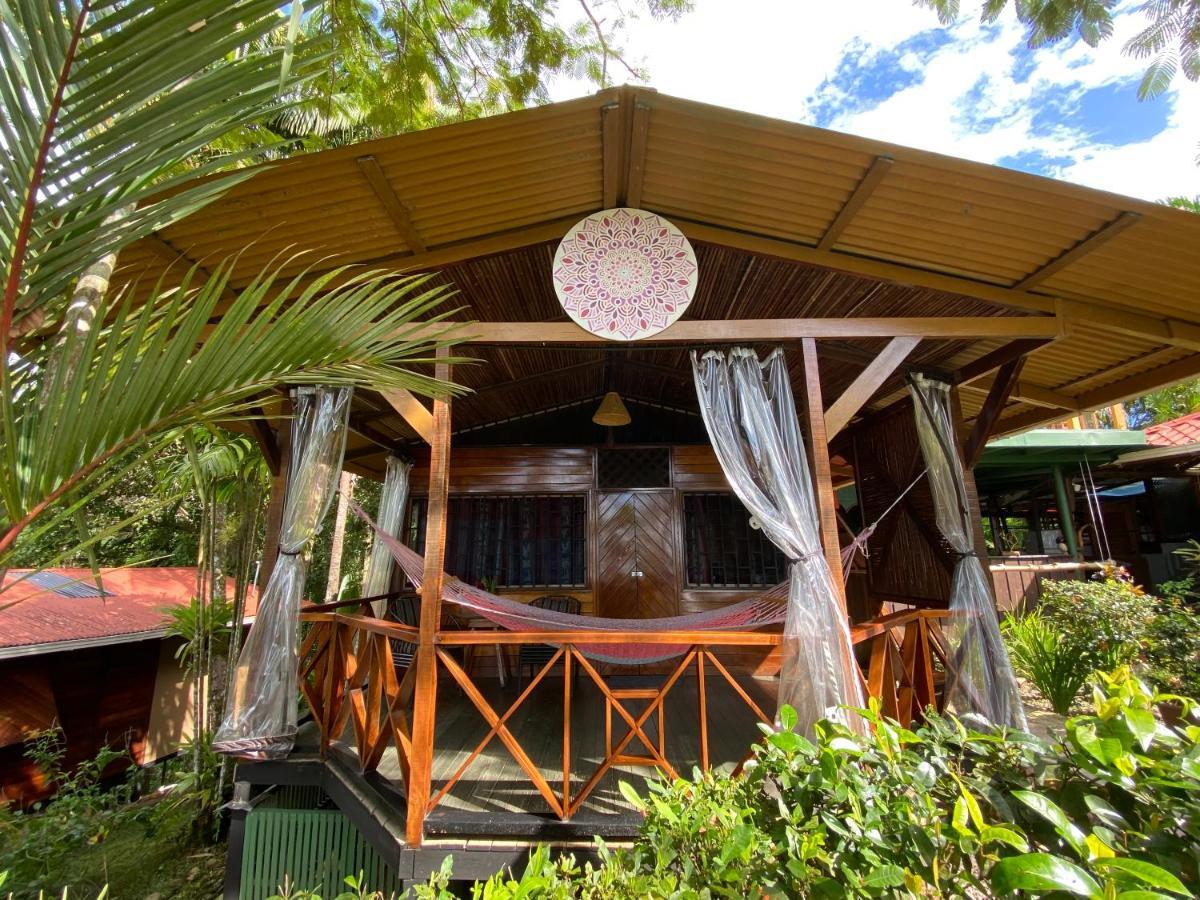 Pacific Edge Eco Lodge ドミニカル エクステリア 写真