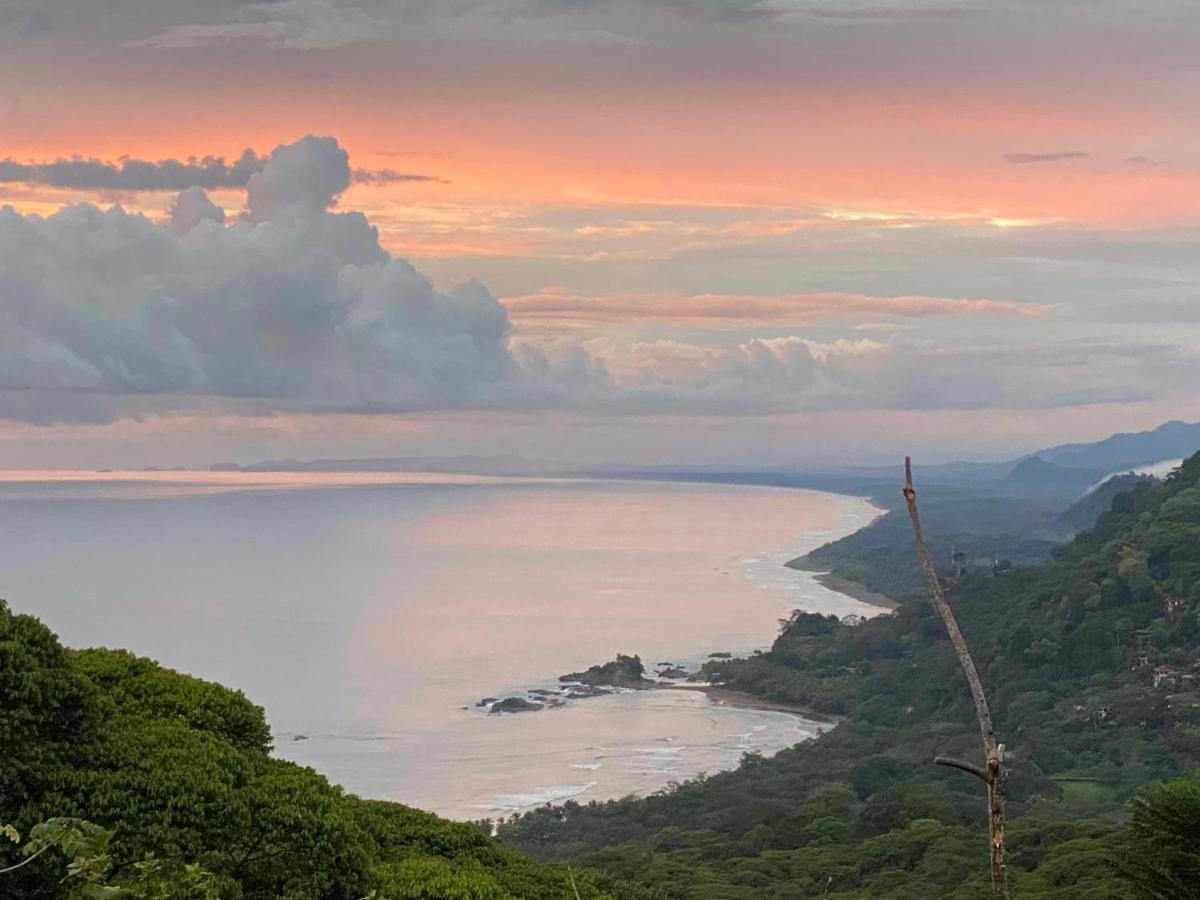 Pacific Edge Eco Lodge ドミニカル エクステリア 写真
