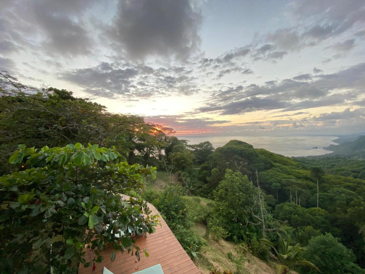 Pacific Edge Eco Lodge ドミニカル エクステリア 写真