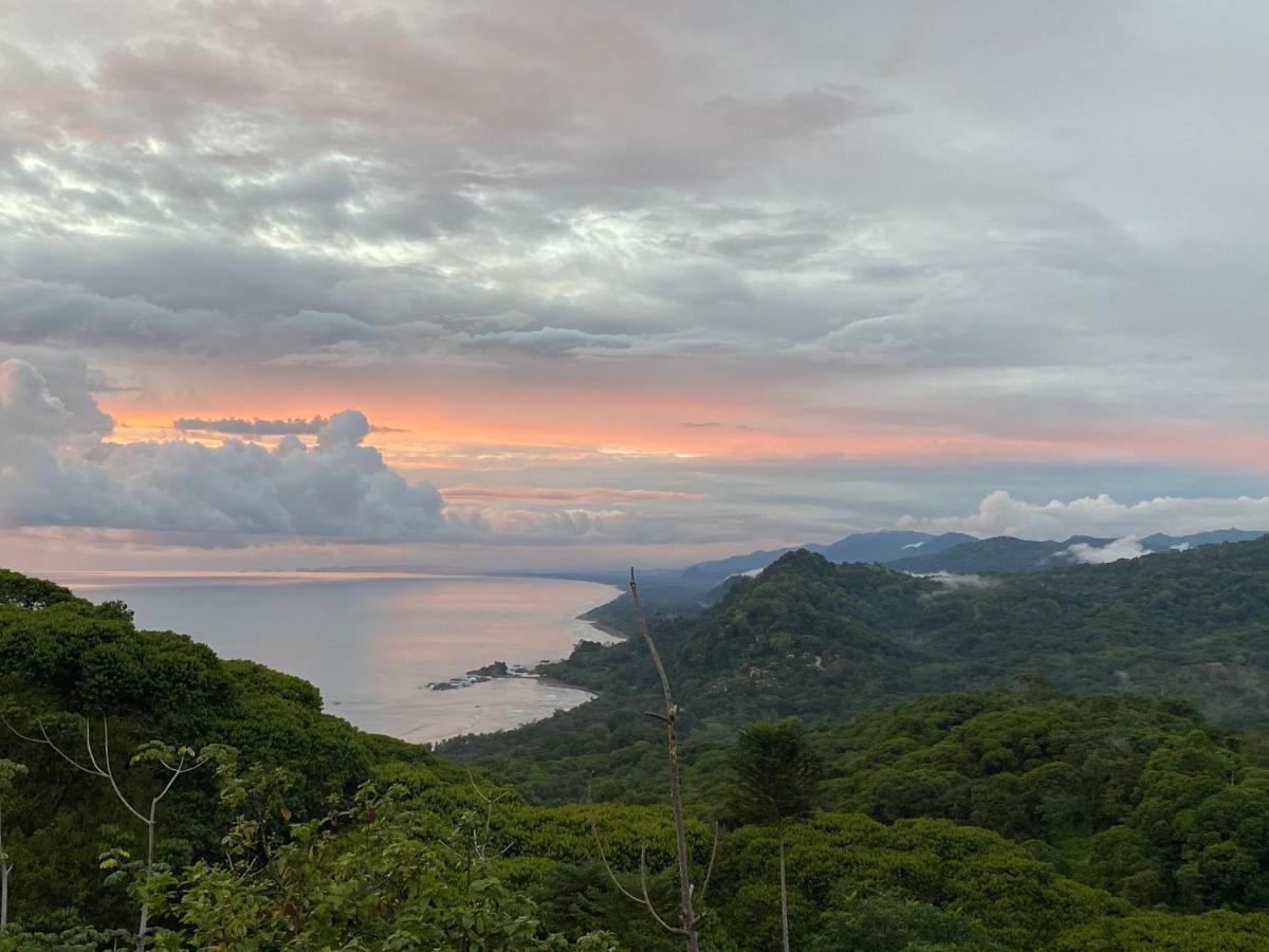 Pacific Edge Eco Lodge ドミニカル エクステリア 写真