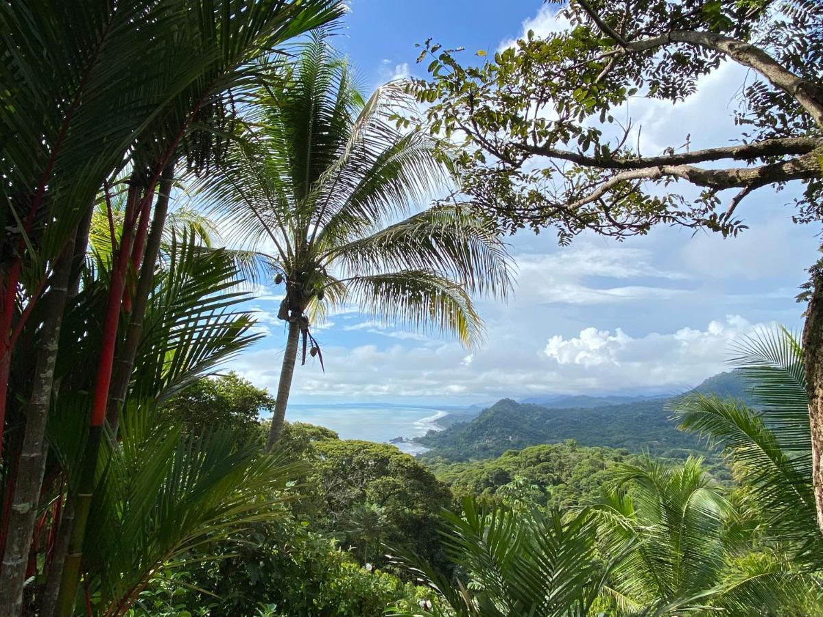 Pacific Edge Eco Lodge ドミニカル エクステリア 写真