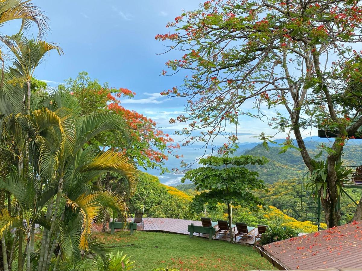 Pacific Edge Eco Lodge ドミニカル エクステリア 写真