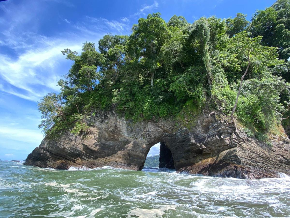 Pacific Edge Eco Lodge ドミニカル エクステリア 写真