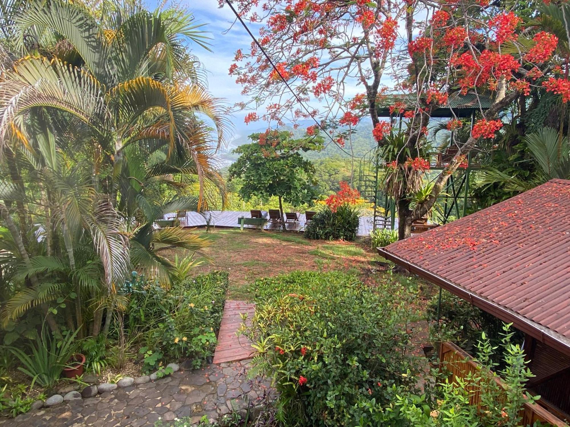 Pacific Edge Eco Lodge ドミニカル エクステリア 写真