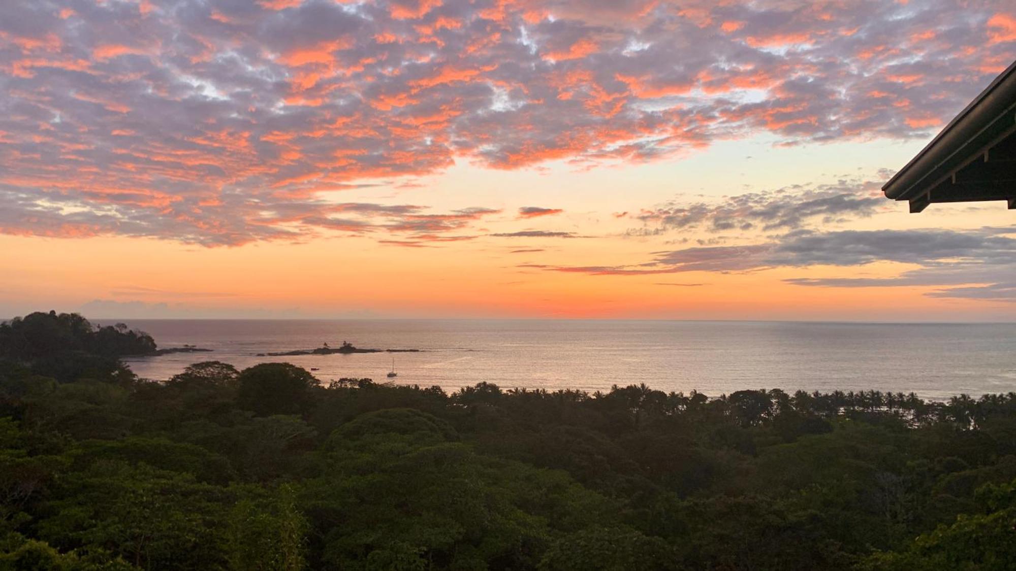 Pacific Edge Eco Lodge ドミニカル 部屋 写真