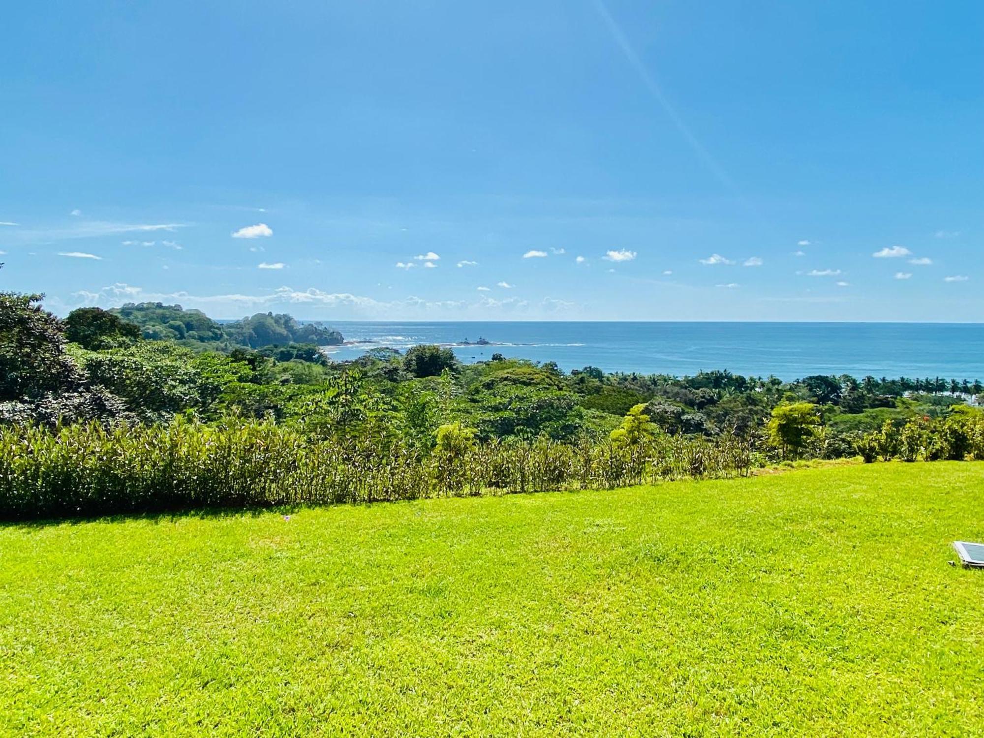 Pacific Edge Eco Lodge ドミニカル 部屋 写真
